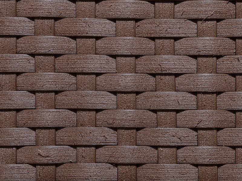 Oliva Estonado